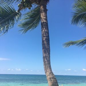 Meet your Posher, Silvia